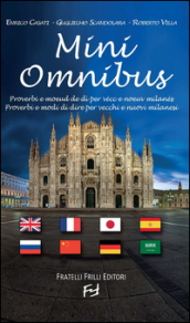 Mini omnibus