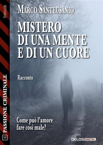 Mistero di una mente e di un cuore - Marco Santeusanio