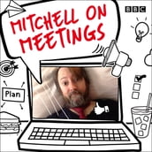 Mitchell on Meetings