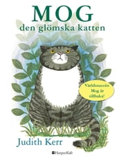 Mog den glömska katten