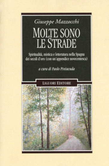 Molte sono le strade. Spiritualità, mistica e letteratura nella Spagna dei secoli d'oro (con un'appendice novecentesca) - Giuseppe Mazzocchi