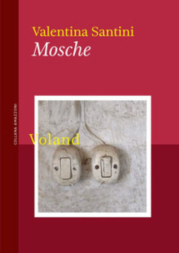 Mosche - Valentina Santini