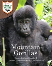 Mountain Gorillas