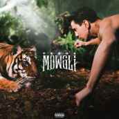 Mowgli il disco della giungla