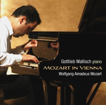 Mozart in vienna - Wolfgang Amadeus Mozart