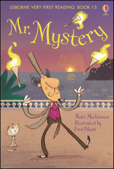 Mr Mystery - Mairi Mackinnon