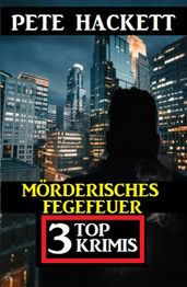 Mörderisches Fegefeuer: Titel 3 Top Krimis