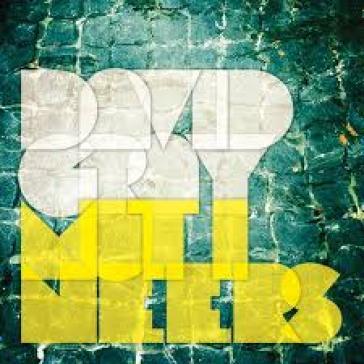 Multineers - David Gray