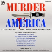 Murder in America