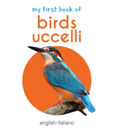 My First Book of Birds (English - Italiano) - Wonder House Books