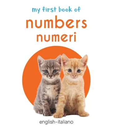 My First Book of Numbers - Numeri - Wonder House Books