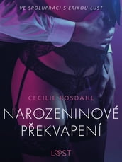 Narozeninové pekvapení - Erotická povídka