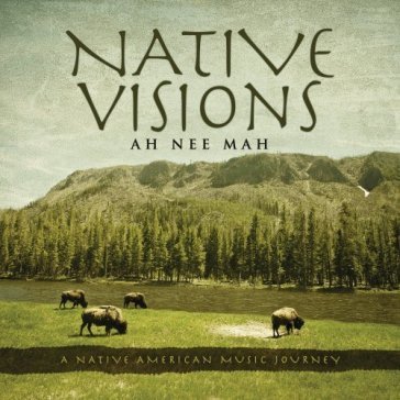 Native visions:a native.. - AH NEE MAH