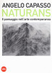 Naturans. Il paesaggio nell arte contemporanea