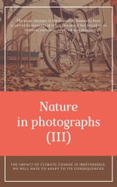 Nature in photographs (III)