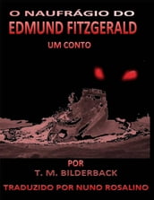 O Naufrágio do Edmund Fitzgerald