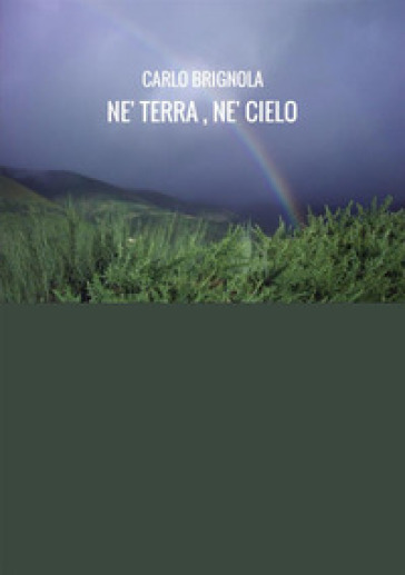 Né terra né cielo - Carlo Brignola