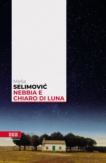 Nebbia e chiaro di luna - Mesa Selimovic