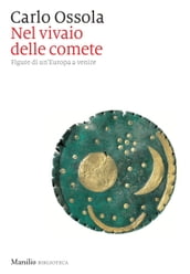 Nel vivaio delle comete