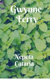 Nepeta Cataria