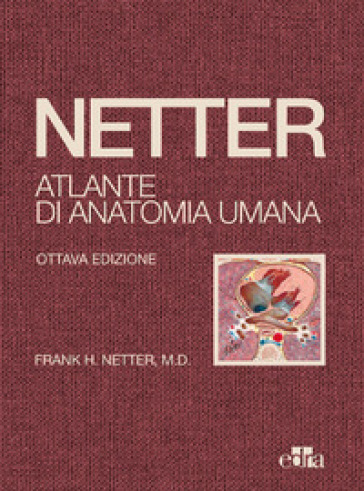 Netter. Atlante di anatomia umana - Frank H. Netter