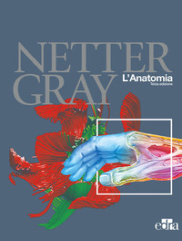 Netter Gray. L'anatomia: Anatomia del Gray-Atlante di anatomia umana di Netter - Frank H. Netter - Susan Standring