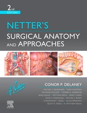 Netter s Surgical Anatomy and Approaches E-Book