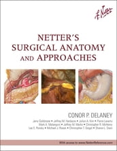 Netter s Surgical Anatomy and Approaches