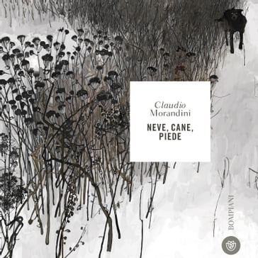 Neve, cane, piede - Claudio Morandini