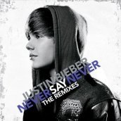 Never say never -remix-