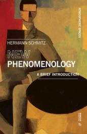 New phenomenology. A brief introduction