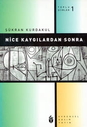 Nice Kayglardan Sonra