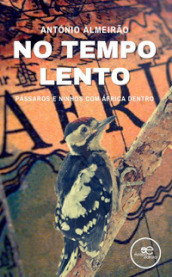 No tempo lento