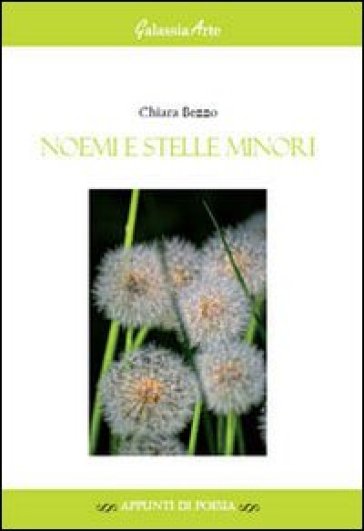 Noemi e stelle minori - Chiara Bezzo