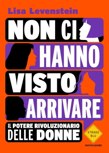 Non ci hanno visto arrivare - Lisa Levenstein