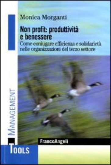 Non profit: produttività e benessere. Come coniugare efficienza e solidarietà nelle organizzazioni del terzo settore - Monica Morganti