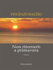 Non ritornerò a primavera. Romanzo