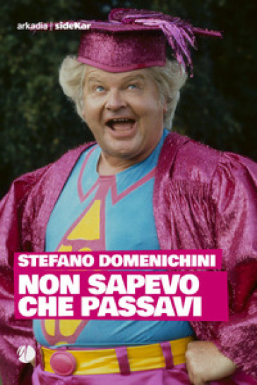 Non sapevo che passavi - Stefano Domenichini