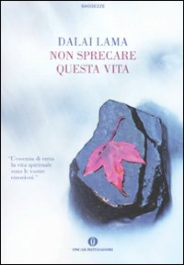 Non sprecare questa vita - Dalai Lama