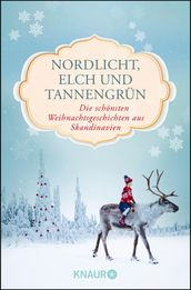 Nordlicht, Elch und Tannengrün