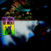 Nothing is real