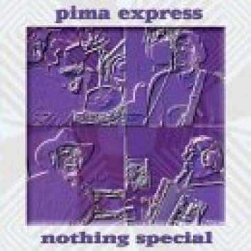 Nothing special - Pima Express