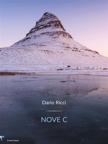 Nove C. - Dario Ricci