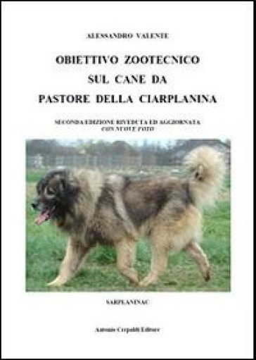 Obiettivo zootecnico sul cane da pastore della Ciarplanina. Sarplaninac - Alessandro Valente