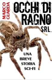 Occhi di Ragno Srl.