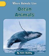 Ocean Animals