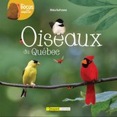 Oiseaux du Québec