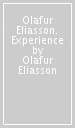 Olafur Eliasson. Experience