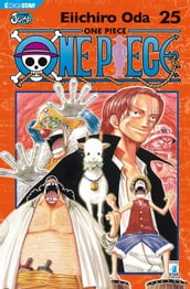 One Piece 25