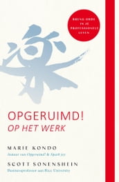 Opgeruimd! Op het werk